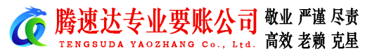 秦淮清债公司